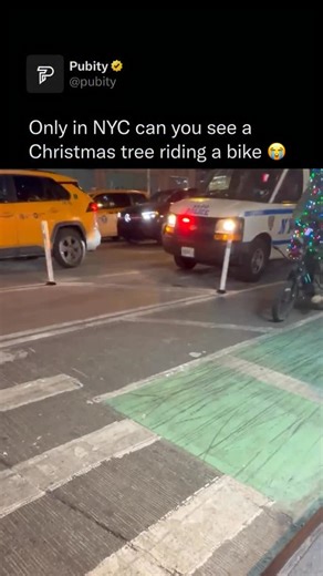 Pubity on Instagram: "😭 The Christmas tree tradition began in 16th-century Germany, where Christians brought evergreen trees into their homes and decorated them to symbolize eternal life during winter. The practice is often linked to Protestant communities, with folklore crediting Martin Luther for adding candles to a tree to represent stars in the night sky. By the 19th century, the custom spread across Europe and to North America, especially after Queen Victoria popularized it in Britain, eve