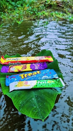 Colorful Candy Floating on a Leaf in the Rain 🌧️🍬 | Satisfying Nature Candy Shorts