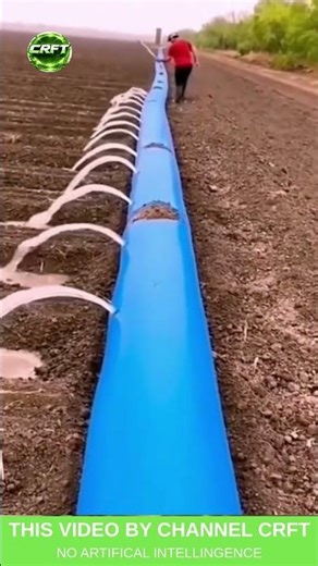 DIY FIELD IRRIGATION SYSTEM — gravity-fed distribution maximizes water efficiency #AgriTech