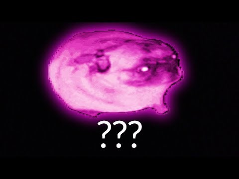 10 MORE "Pug dancing to fnaf music box" Sound Variations in 60 Seconds