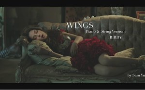 【Birdy】Wings (Piano & String Instrumental Version)