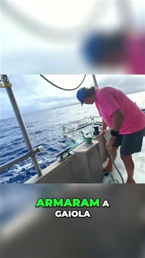 Tubarões Gigantes Rodeiam o Barco: Momento Assustador! #shorts