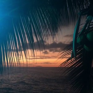 The Ultimate Guide to Puerto Rico's Bioluminescent Bays