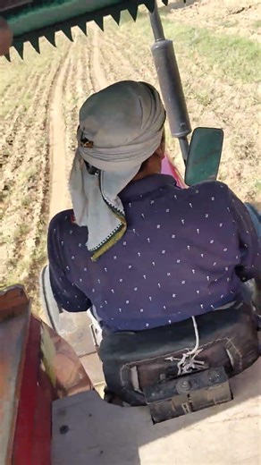 Massey Ferguson 245 is a versatile 50 HP range utility tractor known for its #viral #vidiyo