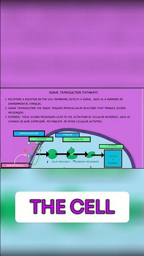 Signal Transduction: Reception, Transduction, and Response
