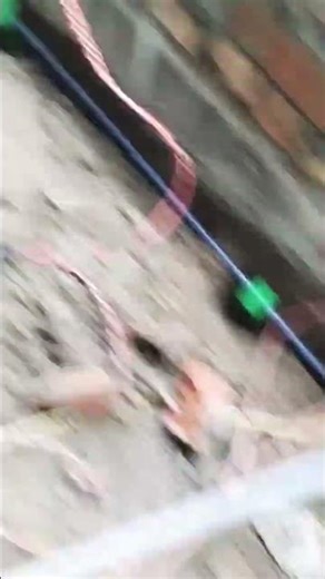 paidare pre construction termite control piping system 03077691627