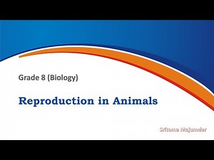 CBSE Grade 8 Science(Biology) Reproduction in Animals Explanation