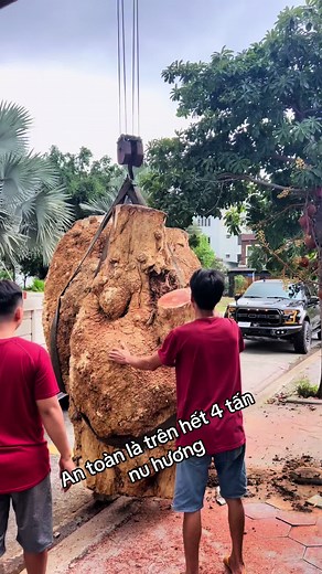 Moving a Large Tree Trunk with a Crane