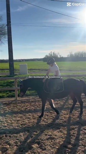 Faire du cheval c’est…