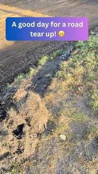 A good day for a road tear up! 😁 #metaldetecting #treasurehunting #minelabmanticore