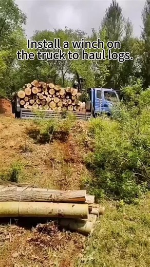 Refit a hydraulic winch on the truck to haul logs. #Winch#Hydraulic Winch#Hauling Logs with Winch#Winch Manufacturers#Crane Winch#Excavator Winch#Truck Winch