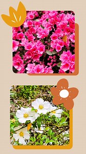 There is no better living than in Colleton County! Especially in the Spring. Let our All Country Team of experts help you buy or sell a home! WE KNOW COLLETON! #weknowcolleton #allcountryrealestate #allcountryknowscolleton #calgriffinknowscolleton | Cal Griffin-All Country Country Real Estate | Facebook