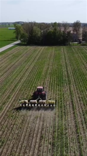 Rose Farms uses cover crops! See how their corn planter handles residue & keeps row units steady. It's been a 10-year process! Check out the full story on RealAgriculture.com as part of the Farming Forward series.#CoverCrops #RoseFarms #CornPlanter #Agriculture #Farming