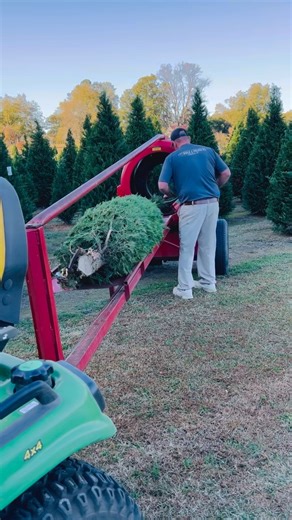 🎄 Exciting News from Matthews Christmas Tree Farm! 🎄 ❤️We’re thrilled to introduce the newest addition to our farm… our fast and efficient tree baler! This upgraded baler will help us wrap your trees quickly, safely, and snugly—so you can spend less time waiting and more time enjoying the magic of the season. ✨ Don’t forget — Opening Day is less than THREE days away! We can’t wait to welcome everyone this Saturday for another year of holiday traditions, fresh-cut trees, and family fun. 🎄 See 