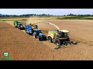 New Krone Big X 1180 + New X Collect Header. Wholecrop Wheat 2021