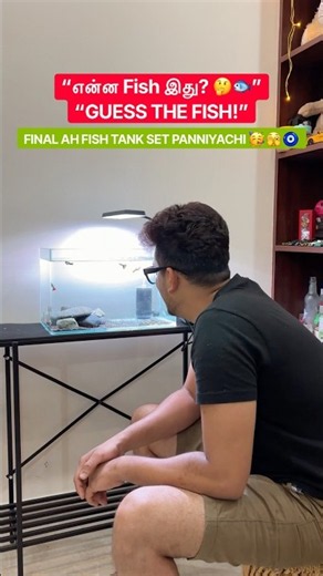 Added New Fish to My Aquarium! 🐟 😧 Can You Guess Which Fish? | EP-56 #bestyoutuber #guppyfishfarm