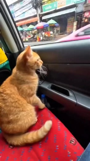 90% लोगों को Computer का Full Form नहीं पता 😱 #basiccomputer #fullform #computercourse