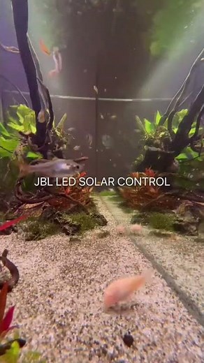 📱💡 JBL LED SOLAR CONTROL - Control unit for JBL LED SOLAR lights via app #shorts #meinjbl #myjbl