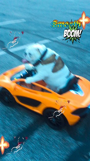 It’s me Bubba , Bubba test drive the Lambo for Spring . I’ll let you know how it drives out . Bubba had it stored over the winter . Plus Bubba took to race track last weekend , made bank . Text me , Bubba got good signal this morning , 4 bars best friend . Bubba Boy 💚 getting ready for Spring | Bubba's World