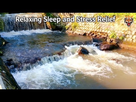 "English for Sleep & Stress Relief - Calming Language to Relax Your Mind"