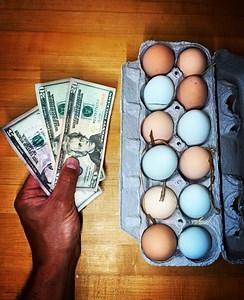 Simple Way to Make 10X MORE MONEY FARMING - Homesteady