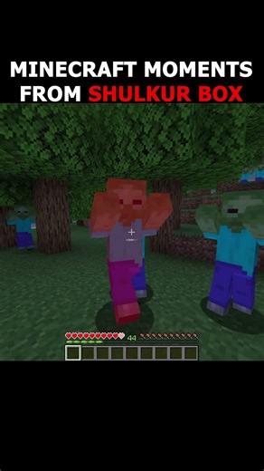 MINECRAFT MOMENTS FROM SHULKER BOX #minecraft #gaming #minecraftmemes #indiangamer #shorts