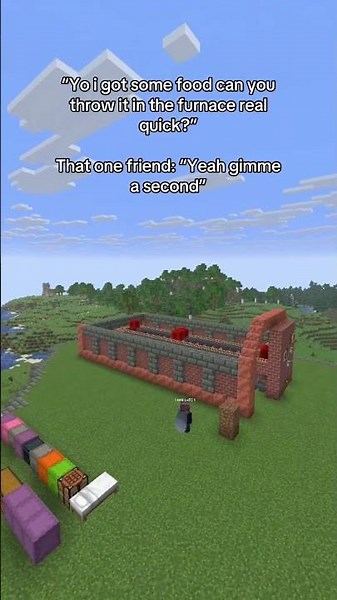 EVERY Minecraft player has THIS friend