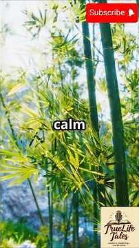 🌱 The Bamboo and the Oak Tree – A Life-Changing Story About True Strength #LifeLesson