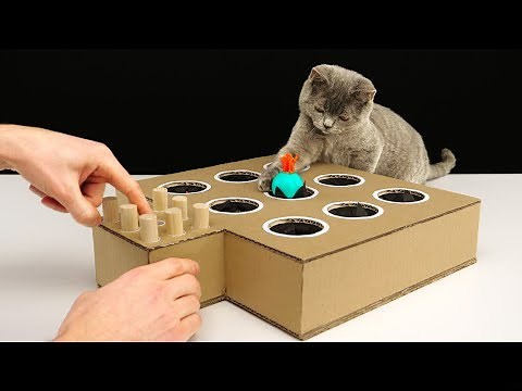 DIY Cat Toy Whack-A-Mole from Cardboard