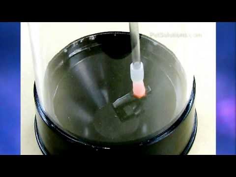 PetSolutions: Two Little Fishes KW Reactor 300 Kalkwasser