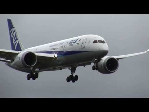 ANA 787 Dreamliner Landing - RAT deployed