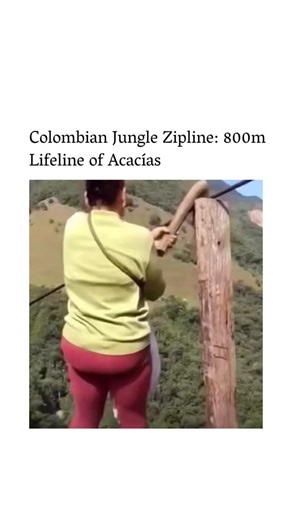 spectr.iq on Instagram: "The post showcases a viral video of locals in Acacías, Colombia, using a 50-year-old, 800-metre steel cable zipline suspended 300 metres above a jungle canyon to cut three hours from their daily treks. Installed decades ago as a vital link between remote hamlets, the cable transports people, goods, and even children to school, as featured in reports from The Guardian (2012) and recent social media. High engagement stems from the footage's blend of ingenuity and peril, wi