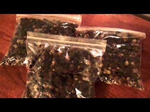 How to Make Raisins