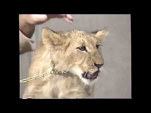 Opening to Aladdin 1993 VHS (NMan64 Edition)