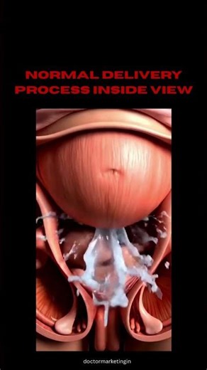 Normal Delivery Process – A Beautiful Journey of Birth 🤱✨