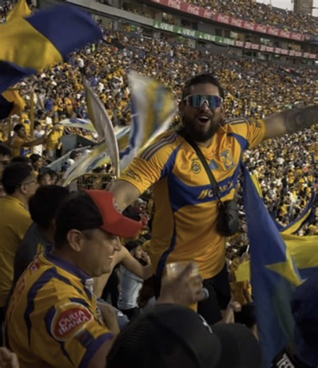 Daxer Ramírez Hernández (@daxer10) - Saludos vecino! 😂🐧🐧🐧 #lamurgadetigres #tigres #libresylokos #sannicolasdeluxe #incomparables #ligamx #futbol #estadio #tigresuanl #tiktok #viral #fyp #alegria