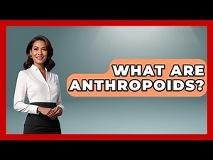 What Are Anthropoids? - The Wild Life Explorer