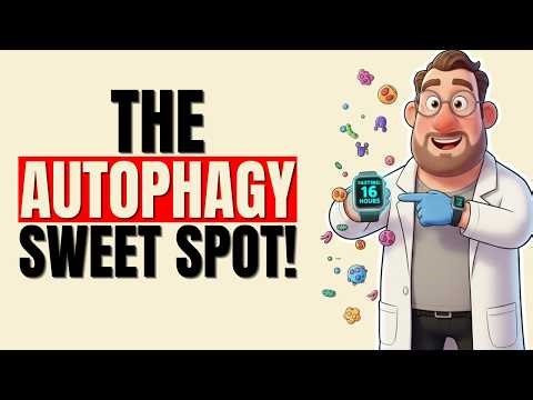 How Many Hours to Trigger Autophagy? Fasting Timeline Explained (16, 24, 36 Hours)
