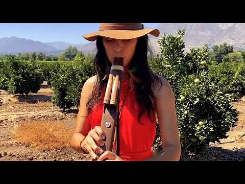 Native American Flute Prayer | Prayer for Souls Transitioning | Daniela Riojas Earth Meditation