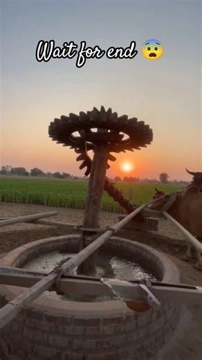 ✅😱 Motor ke bina kheton me paani kaise pahunchta tha?💥#Kisan#FarmingIndia#DesiJugaad#Agriculture#fyp