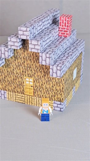 Lv1-99 Minecraft Houses in real life🏡🤯 #minecraft