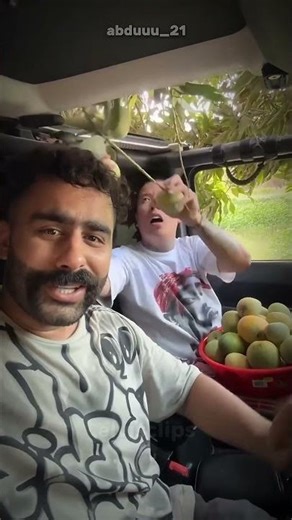 Just to Steal a Mango? 🤔🍃