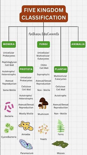 Comparison of 5 Kingdoms | Monera vs Protista vs Fungi vs Plantae vs Animalia | Full Biology Chart