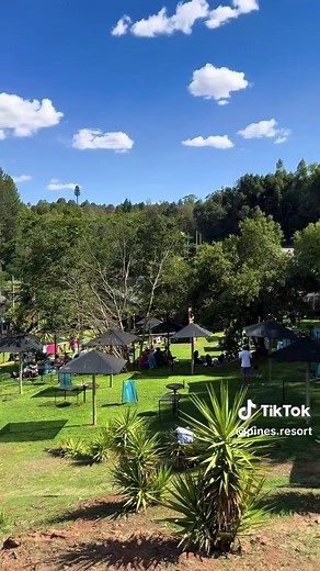 Experience Summer Fun at Pines Resort this Season