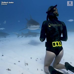 2.1M views · 17K reactions | CLOSE ENCOUNTER: This fearless diver's...