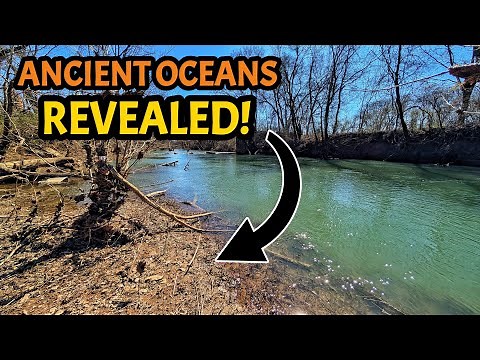 These Mountains & Streams Were Once The Ocean Floor - The Fossils We Found Were INCREDIBLE!