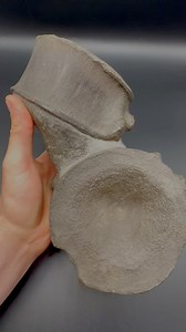 103K views · 1.3K reactions | Here’s an outstanding example of some...