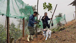 12K views · 514 reactions | Process of planting jackfruit, grapefruit, lemon, guava trees on the farm | Family Farm Life | Family Farm Life | Facebook