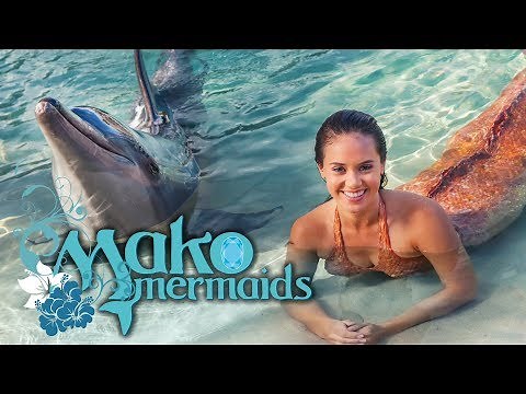 Transformation before a dolphin? Mimmi & the dolphins | Mako Mermaids