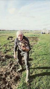 How to grow your own red beet seeds